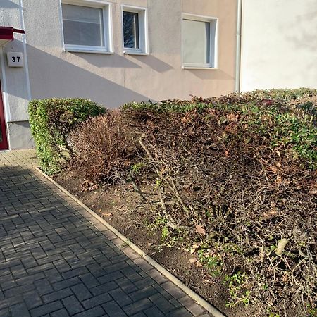 Mycha Ferienwohnung Goslar Exteriör bild