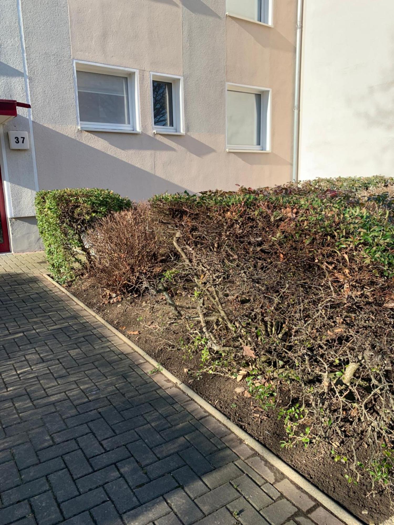 Mycha Ferienwohnung Goslar Exteriör bild